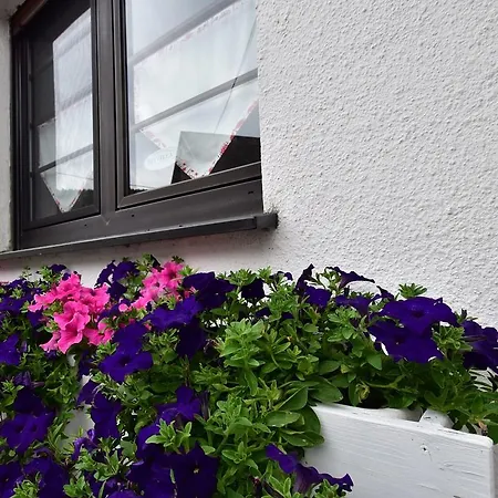Schwermann 2 Tatil Evi
